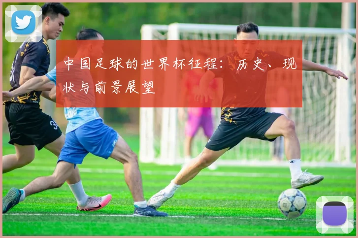 中国足球的世界杯征程：历史、现状与前景展望