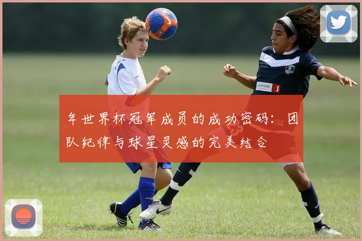 年世界杯冠军成员的成功密码：团队纪律与球星灵感的完美结合