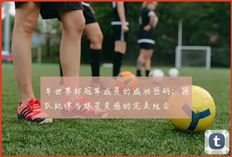 年世界杯冠军成员的成功密码：团队纪律与球星灵感的完美结合