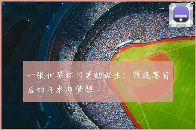 一张世界杯门票的诞生：预选赛背后的汗水与梦想