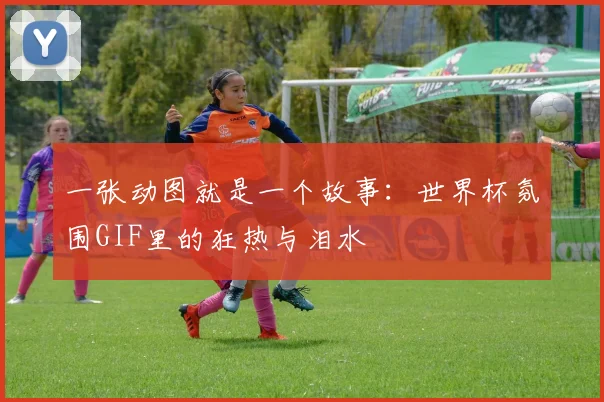 一张动图就是一个故事：世界杯氛围GIF里的狂热与泪水